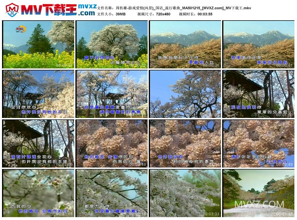 周传雄-游戏爱情(风景)_国语_流行歌曲_MA501215